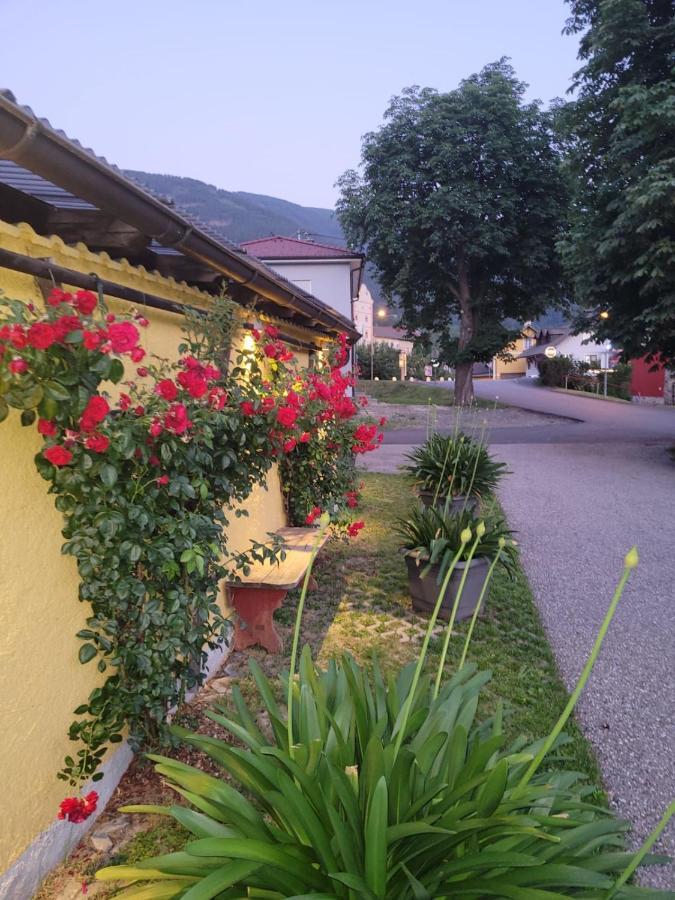 Pension & Ferienwohnung Dullnig Gmünd Екстериор снимка