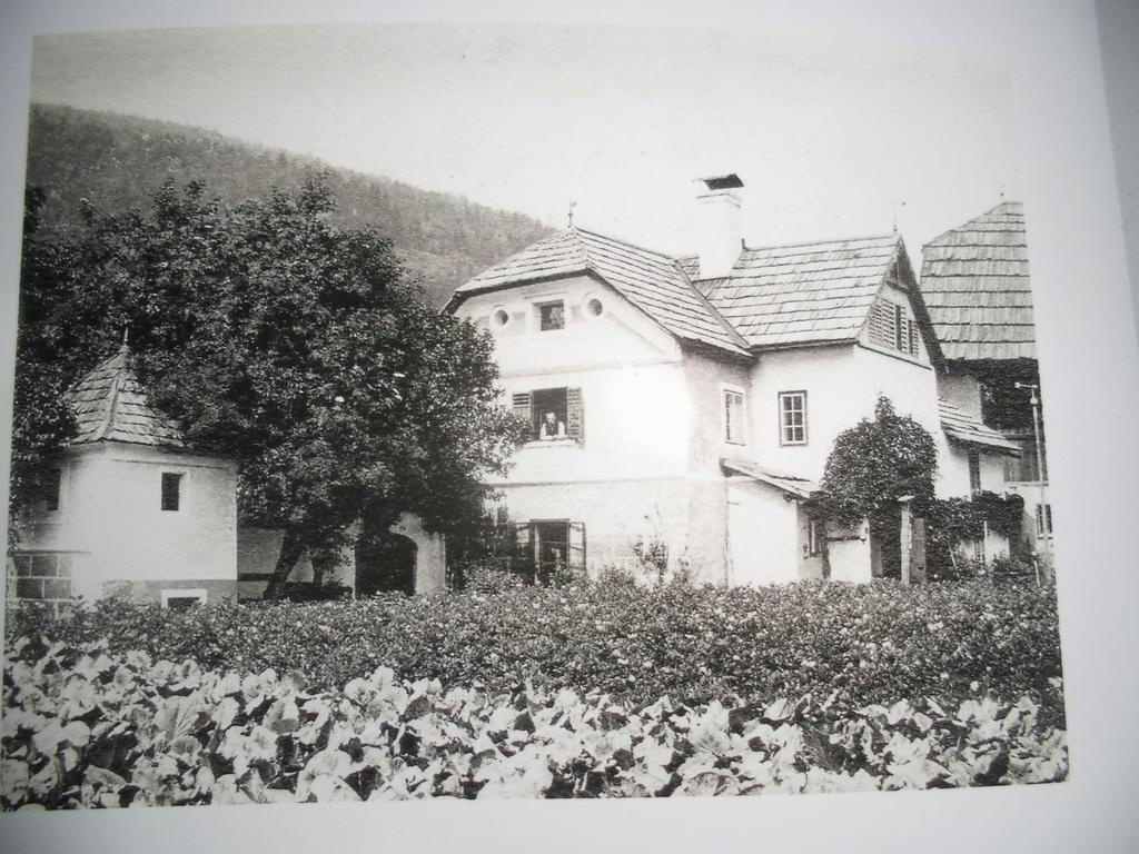 Pension & Ferienwohnung Dullnig Gmünd Екстериор снимка
